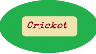 England v/s New Zealand Series – Dress Rehersal of the Ashes? England and New Zealand start their 2 match test series from today at Lords and the spectators are following this series merely as a show down towards the Ashes, which...