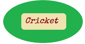 cricket